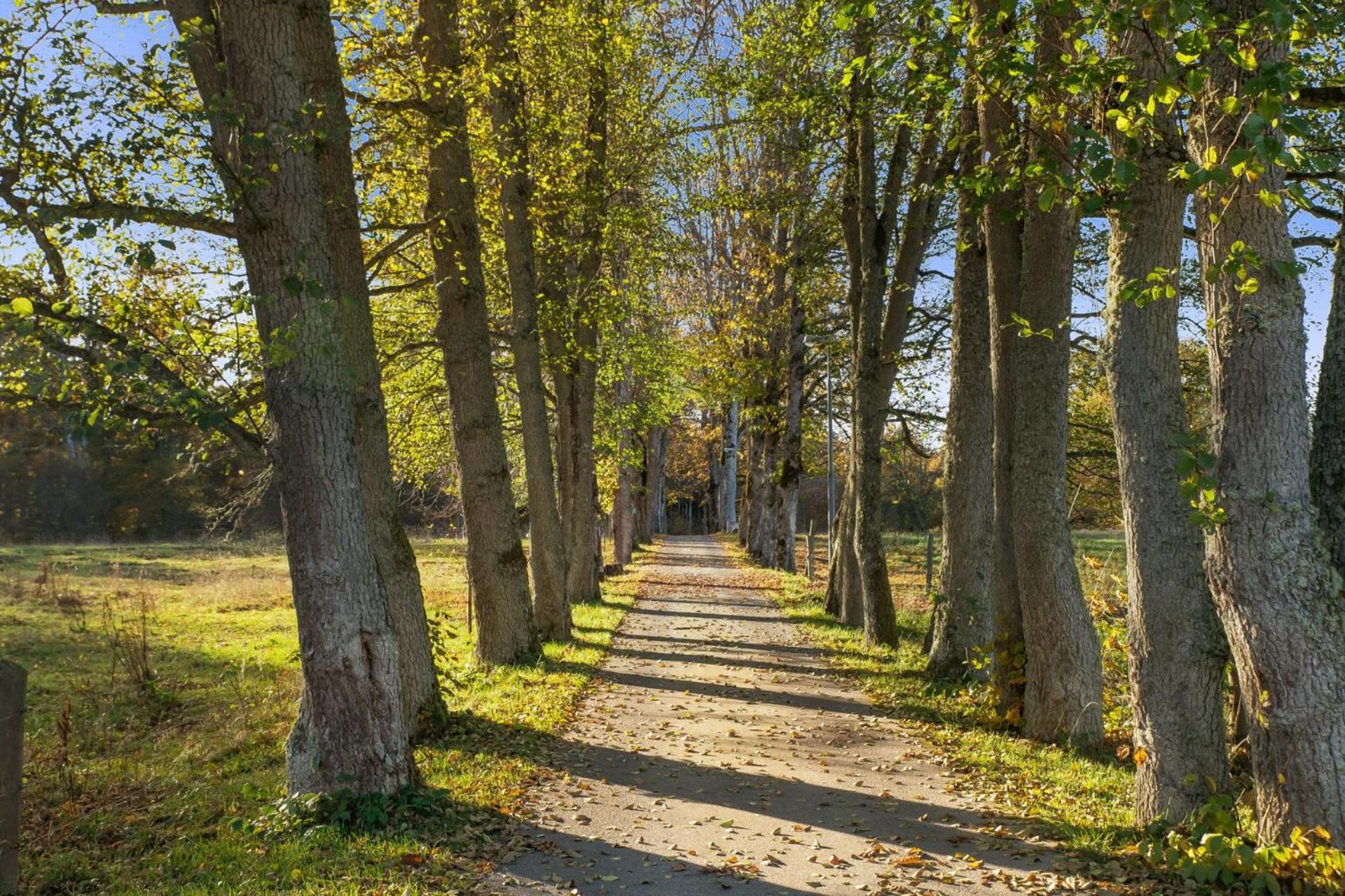 Grimsnas Herrgard Ljuder (Kronoberg) Екстериор снимка